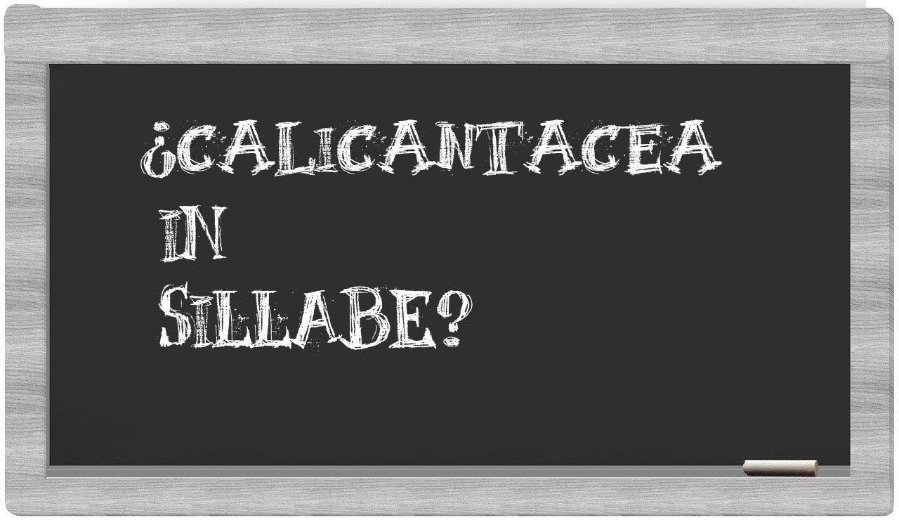 ¿calicantacea en sílabas?