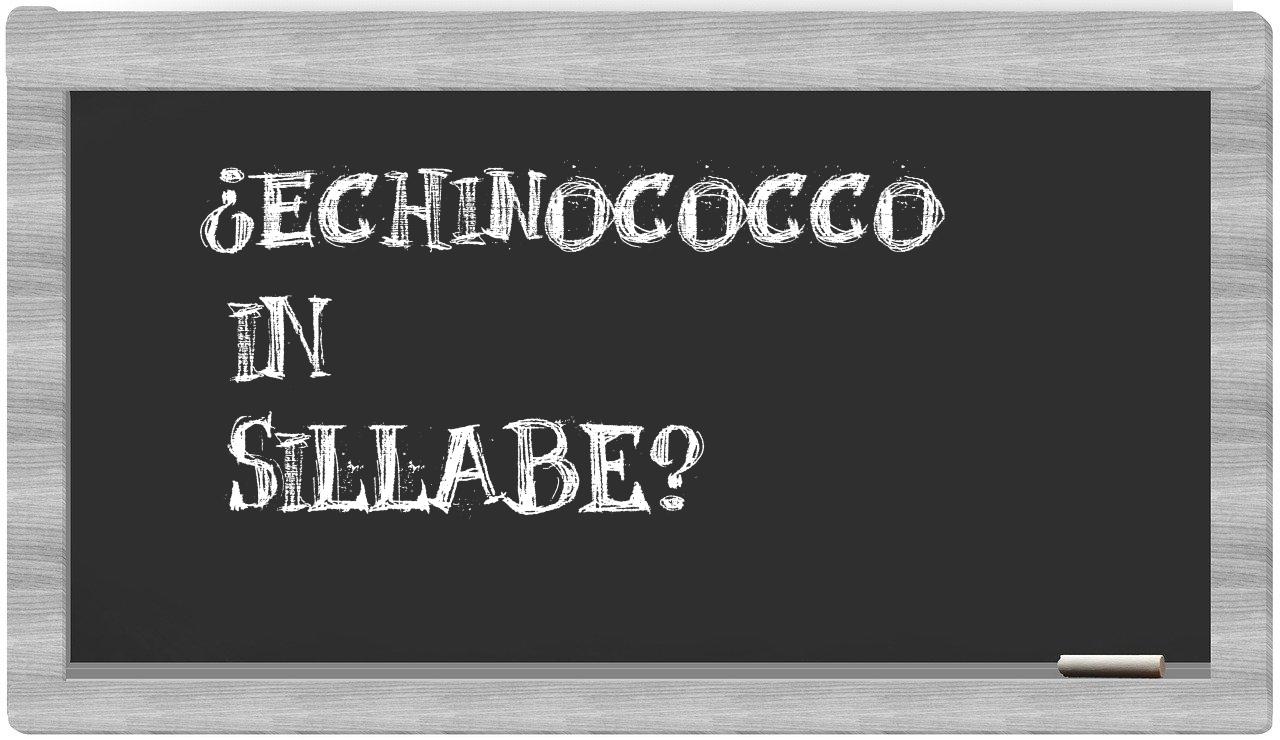 ¿echinococco en sílabas?