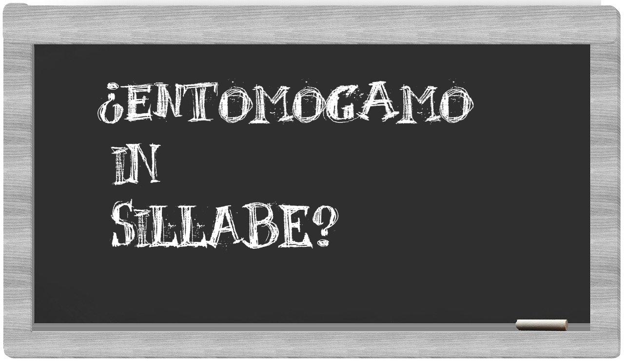 ¿entomogamo en sílabas?