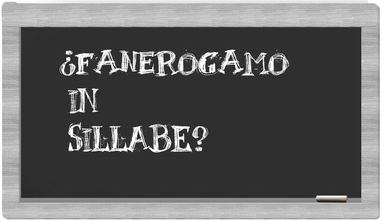 ¿fanerogamo en sílabas?