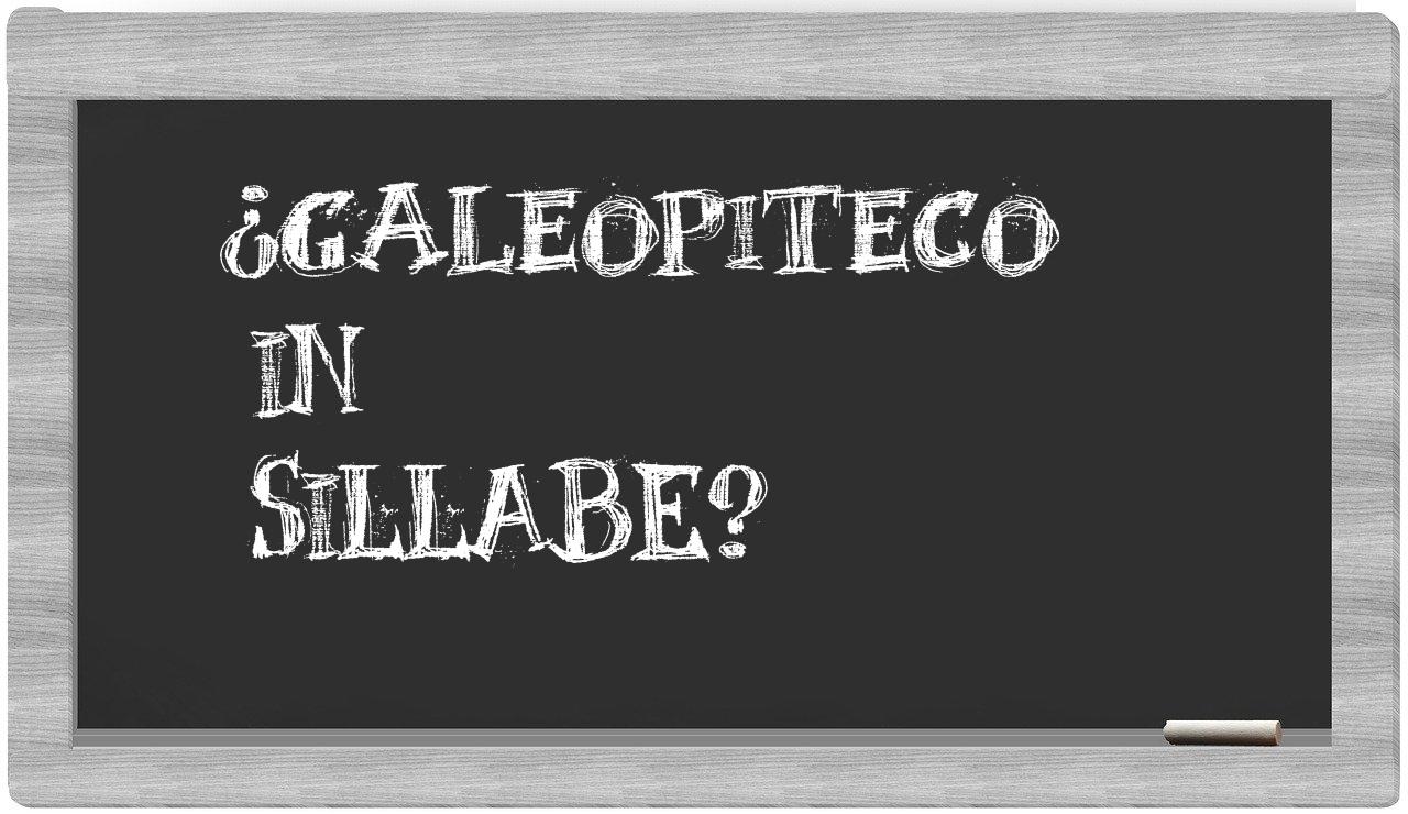 ¿galeopiteco en sílabas?