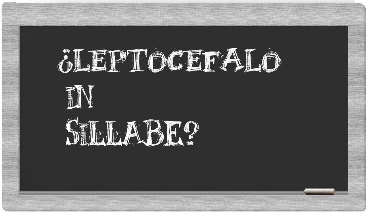 leptocefalo in syllables