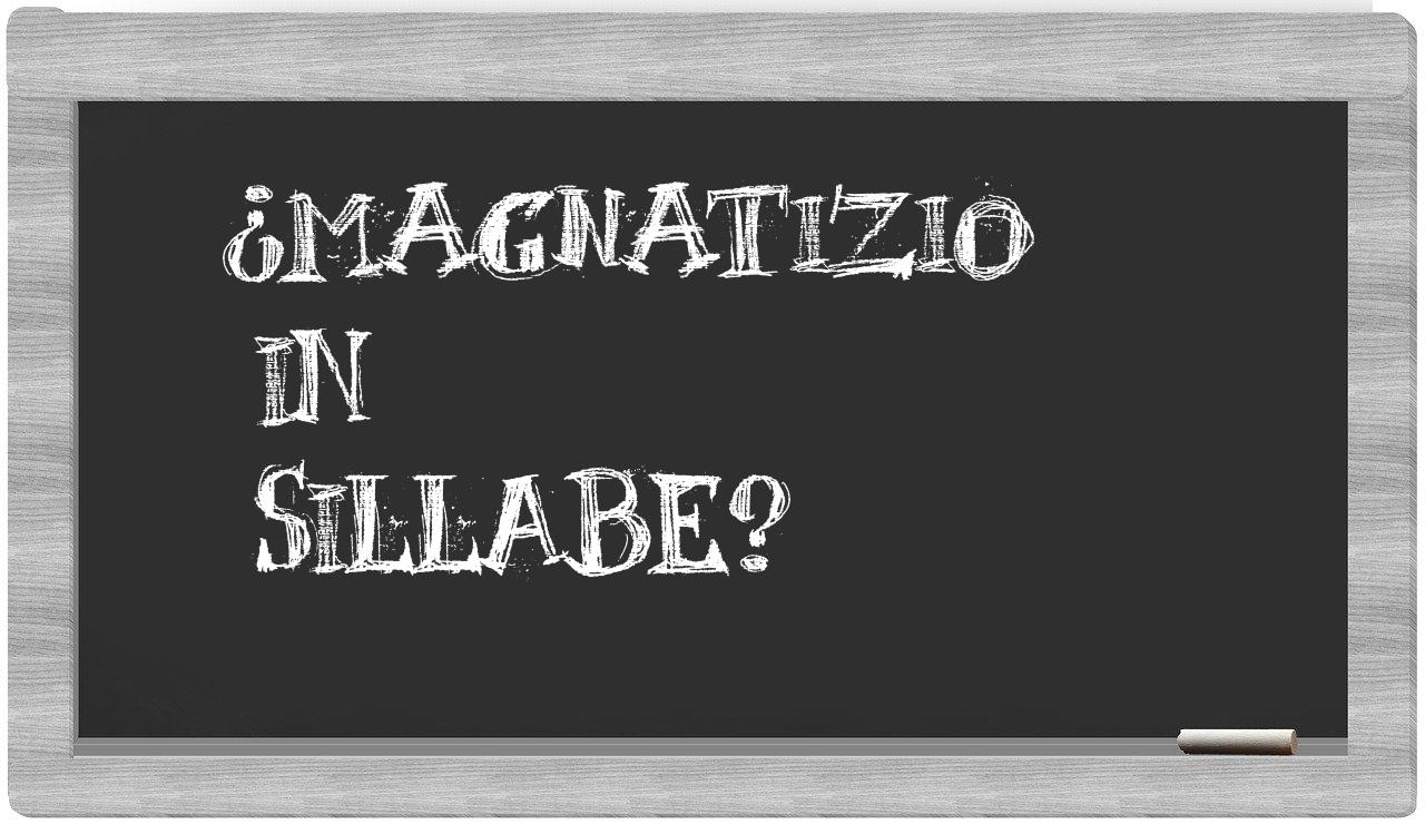¿magnatizio en sílabas?
