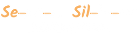 separasillabe.com logo